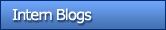 Intern Blogs